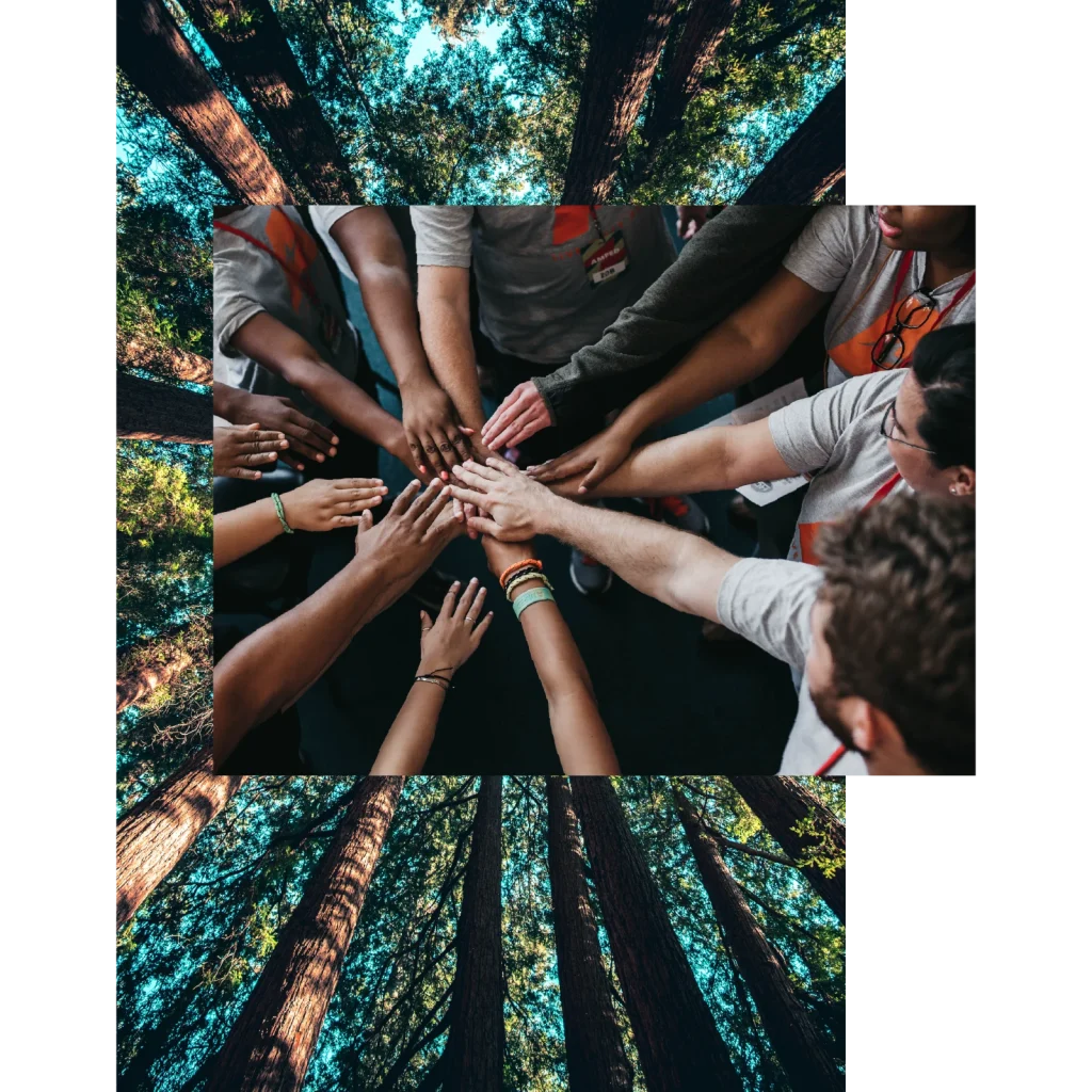 Synergy Team Effectiveness